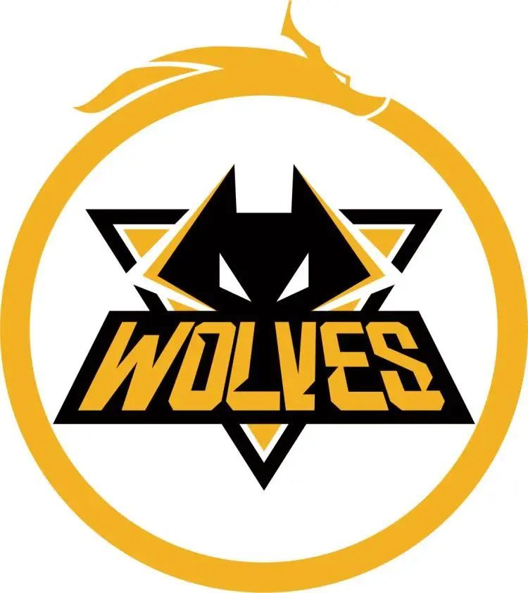 BLAST Rivals 春季 2025 季后赛：最佳比赛、击杀、评论、梗、影响者反应